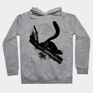 Squirrel Vintage // Pencil Drawing Hoodie